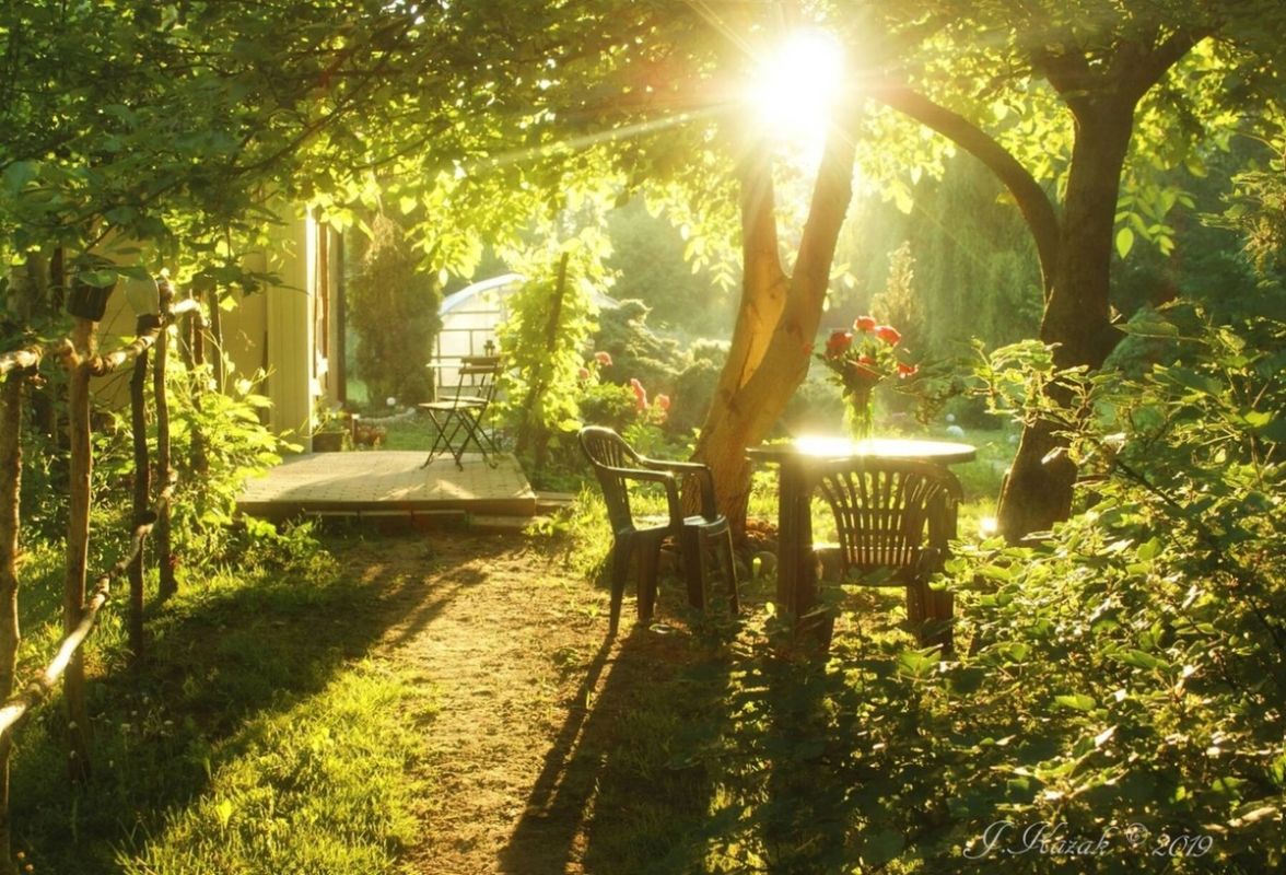 ��� ��������� �������� � �������� ���������� ����: 5 ������� ��������