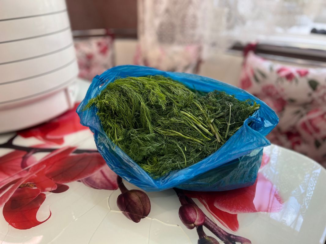 ������� �����: ���� ��� ��� � ����