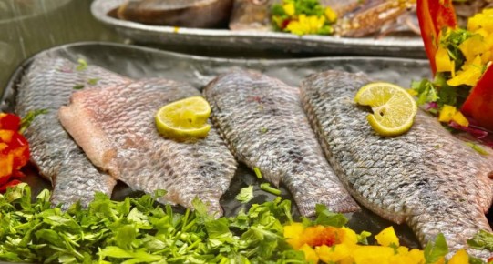 ��� ������ � ����� �������� ����: ������ ���������� �������