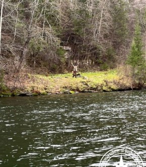 ������� ����� ����� ���������� ������ ���������: ��� ����������� �� ����� � ����� ������ �����