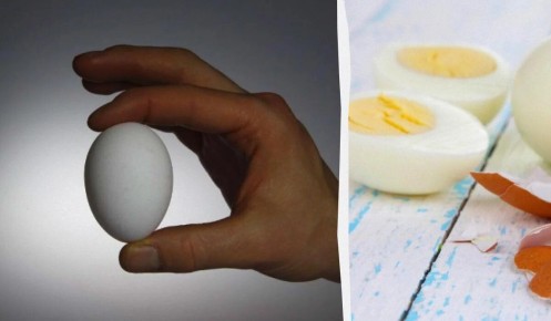 Почему желток может стать зеленым: секреты варки идеальных яиц