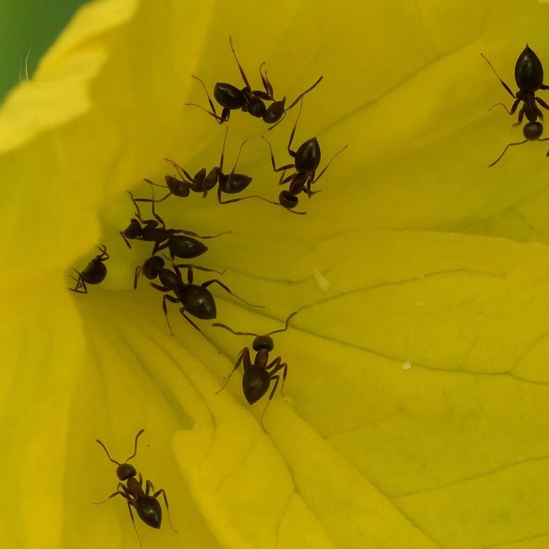 ������� �� �������: ��� ��� �������� ������ ������� � ��� � ���� ������?