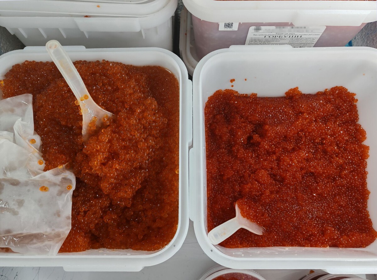 Красная икра кеты: ценный деликатес и его польза для здоровья