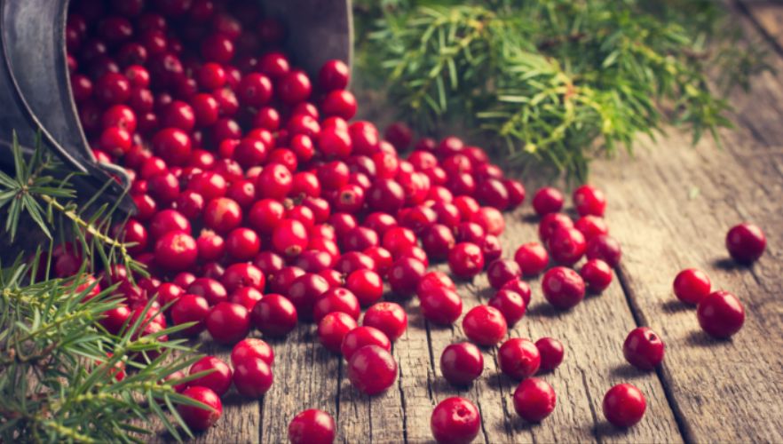 Клюква: натуральный помощник для здоровья и долголетия