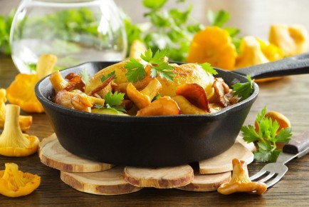 ������ ���������: ��� ��������� ���� ���� � ������