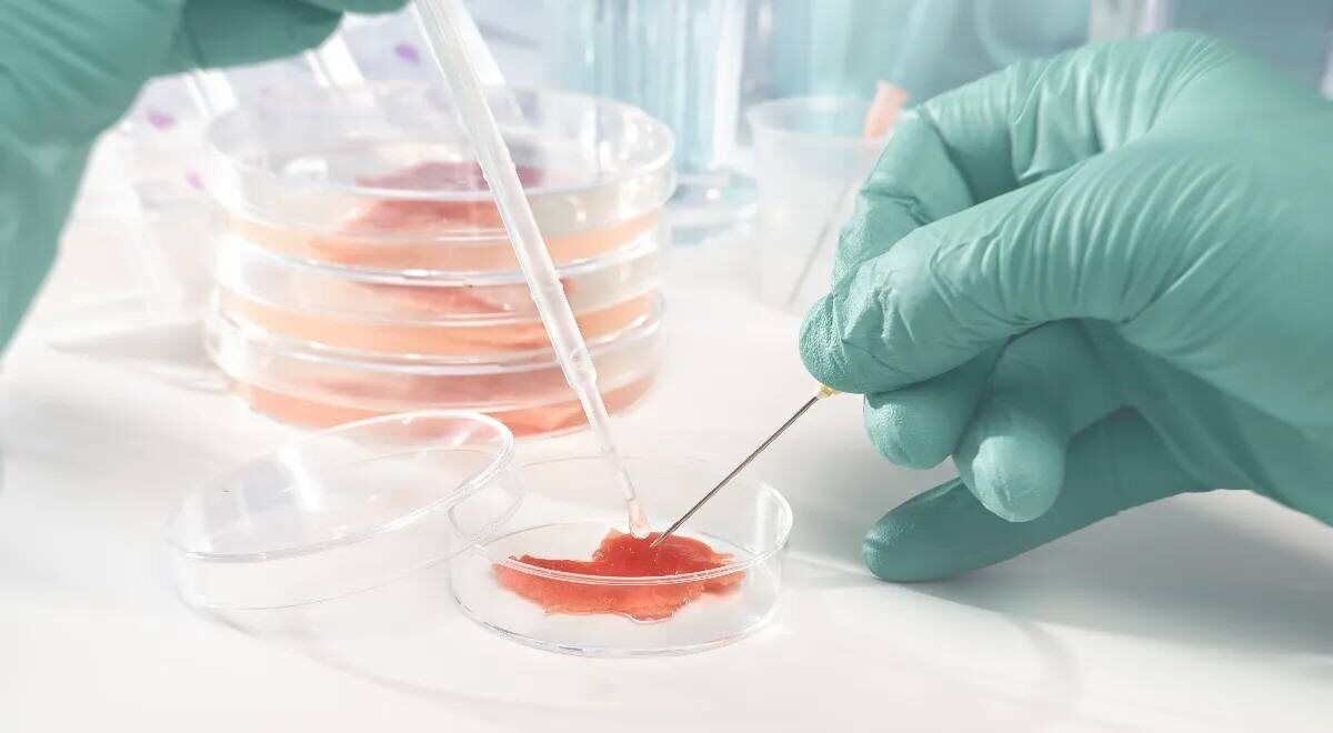 Мясо из пробирки: швейцарские ученые делают это возможным