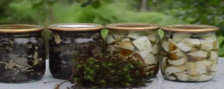 ��� ��������� ���� ����: ������� ������� ������� ��������� �� ����