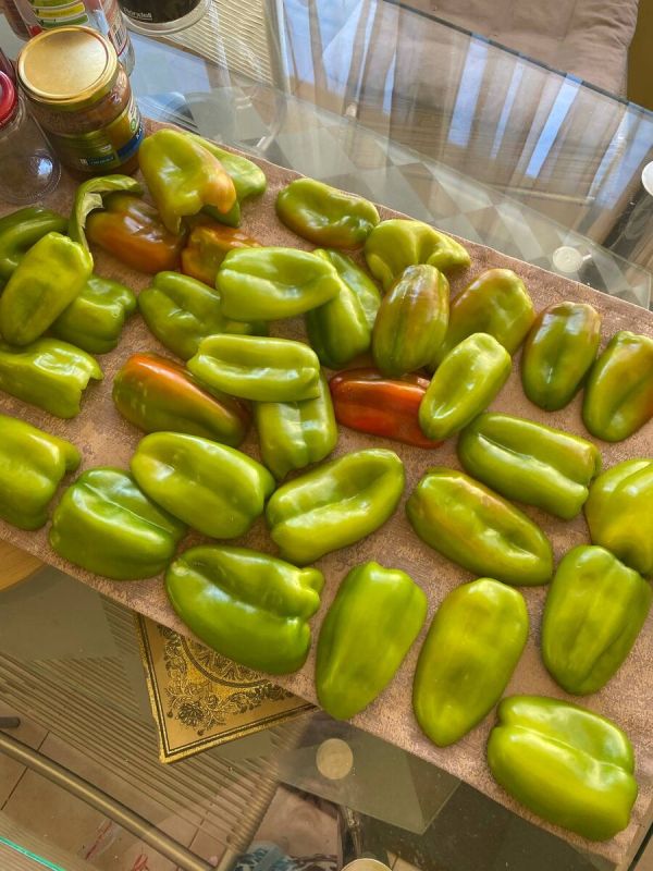 Соленья на зиму: как и о чем говорят любители домашнего консервирования