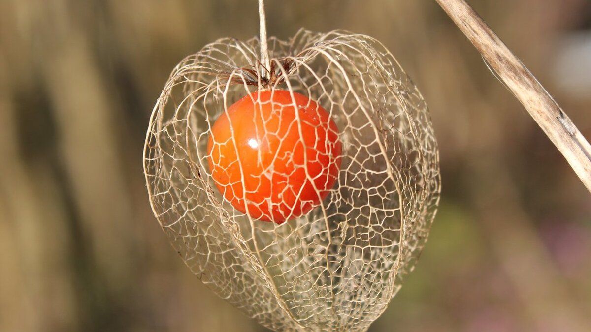 ������� � ������: ��� ��������� �������� � ������� ����