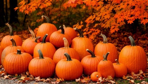 Как максимально сохранить пользу тыквы при готовке