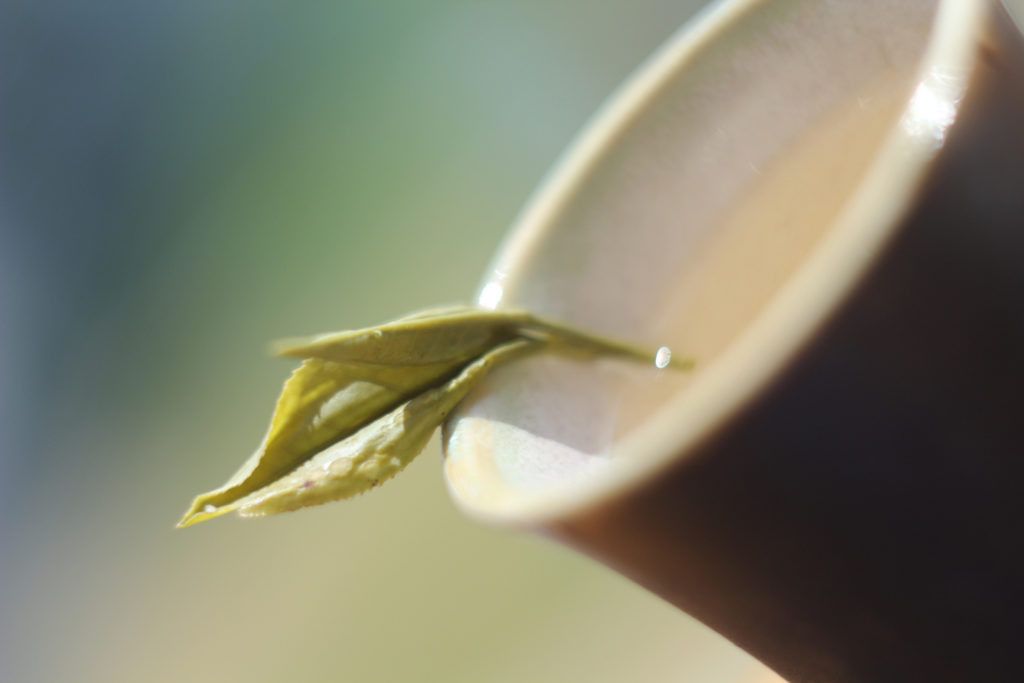 ��� ��� ������: ��� �������-���������� ���������� �������� ���������� �����������