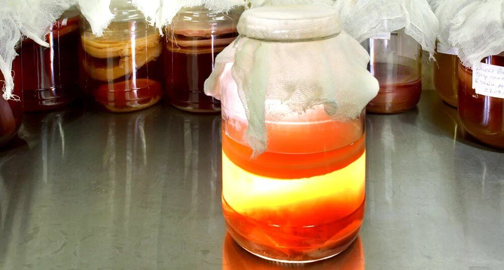 ����������� ������� �����: �� ��������� �������� �� ������������ ���������