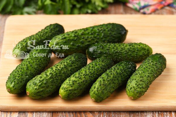 ������ ��������� ������, ������� ��������� �� 10 �����