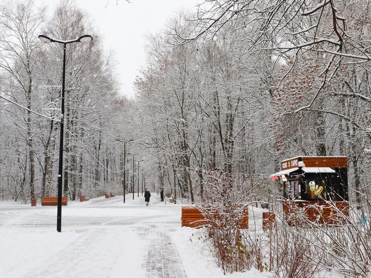 ���� ������ �� ����� �������� ��������� � ���� ����