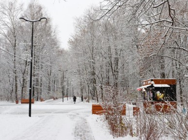 Парк «Дубки» не будет отмечать Масленицу в этом году