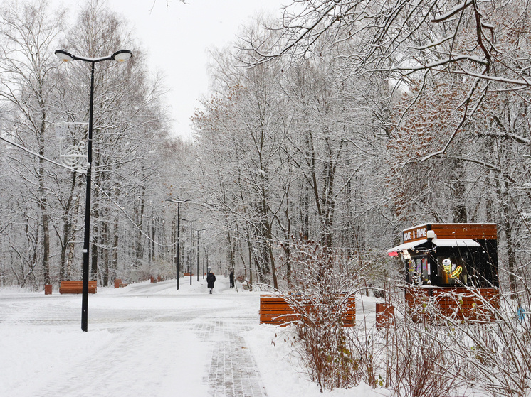 Парк «Дубки» не будет отмечать Масленицу в этом году