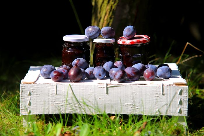 Сливовое варенье без сахара с какао: идеальный десерт для любителей сладостей