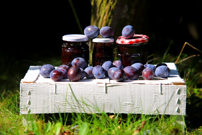 Сливовое варенье без сахара с какао: идеальный десерт для любителей сладостей