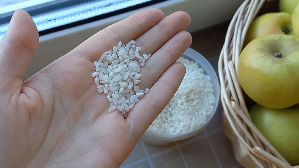 ������� ���� ������ ������: ������� � ������� ������