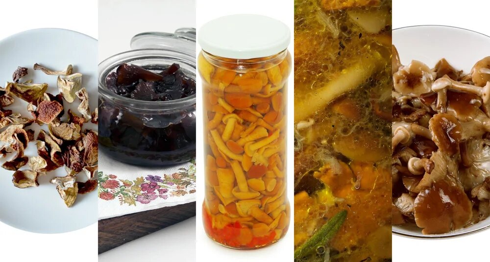 Как заготовить грибы на зиму: вкусные идеи для каждого
