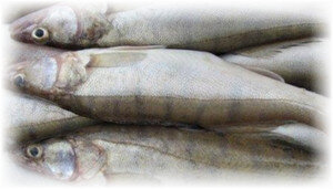 Как правильно варить рыбу: секреты кулинарного мастерства