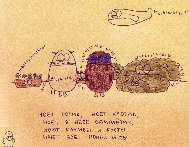 ����������� ����: ���������� � ���������� ������������