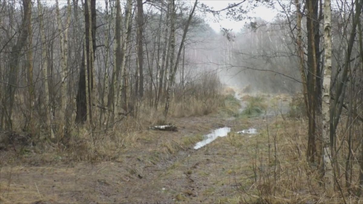 ������� �������: ��� ����� ������� � ���� � �������