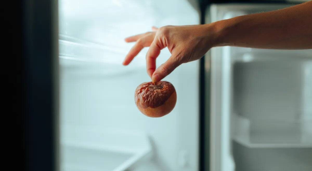 Продукты, способствующие быстрое гниение: откроем тайны плесени