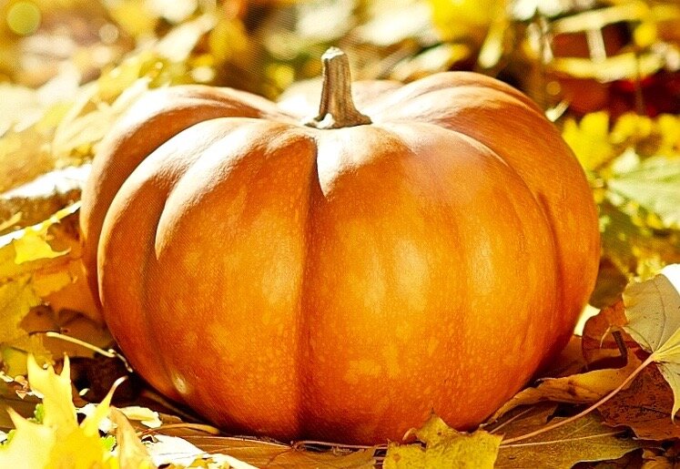Тыквенные удовольствия: 4 рецепта для осеннего настроения