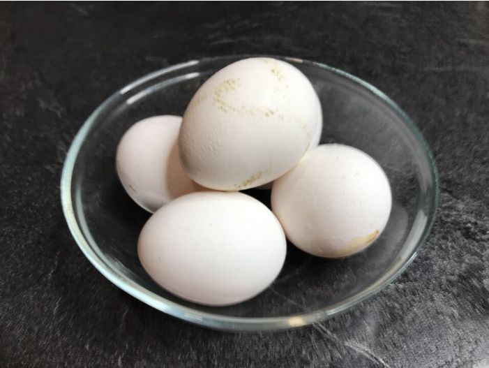 Сравнение домашних и магазинных яиц: стоит ли переплачивать?