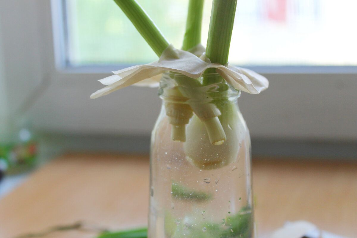 ������ ����� �����: � ����������� � ������������ �������� ����������