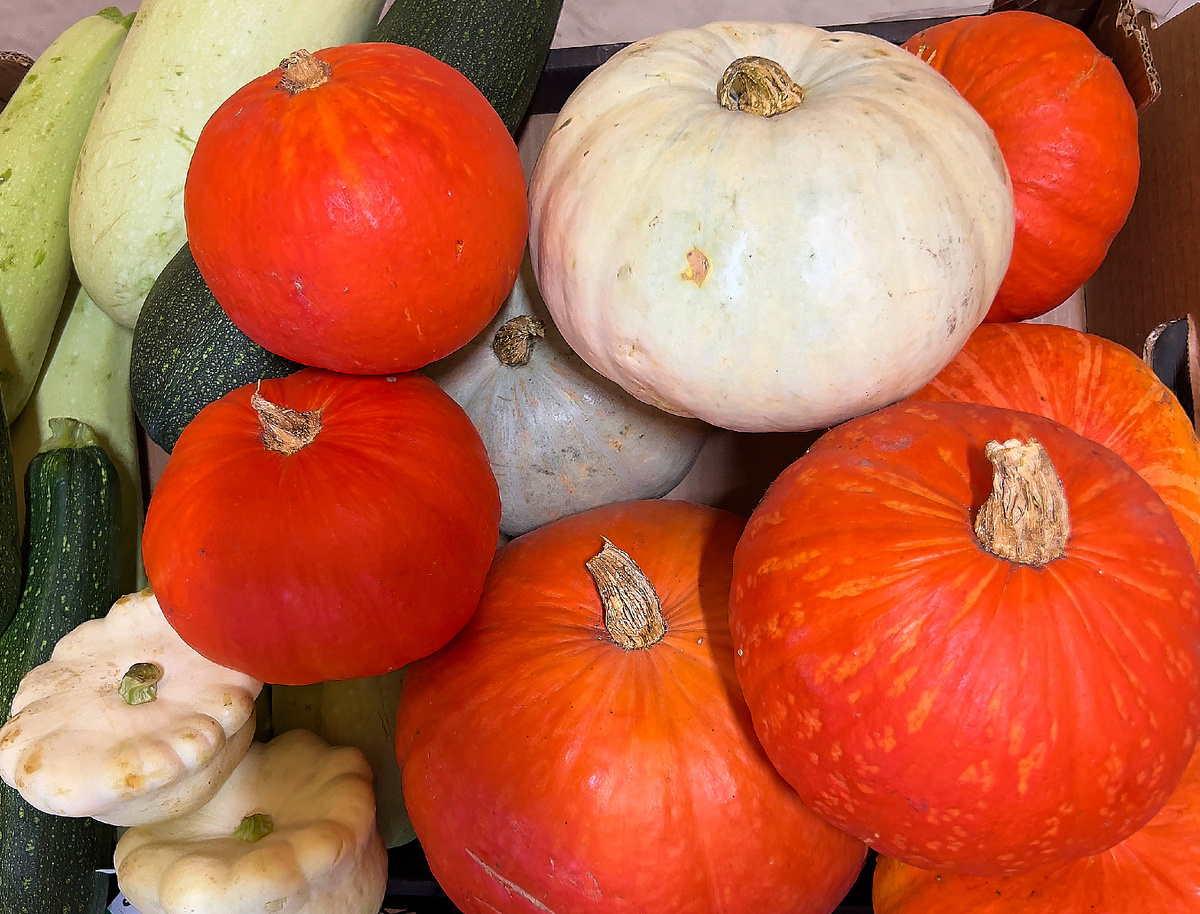 Секреты осеннего урожая: почти 100 тонн тыкв на московских ярмарках