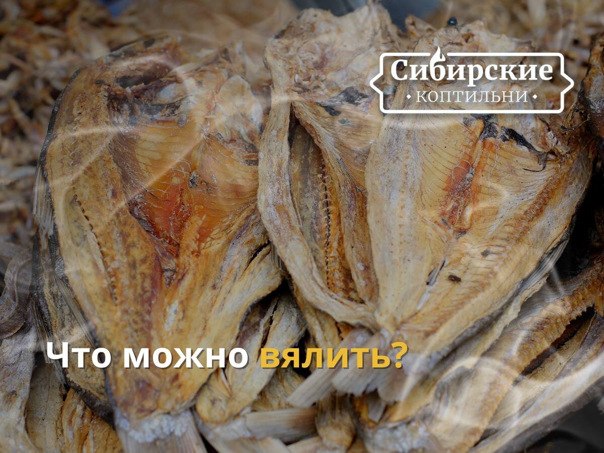 Искусство вяления: что можно приготовить и как
