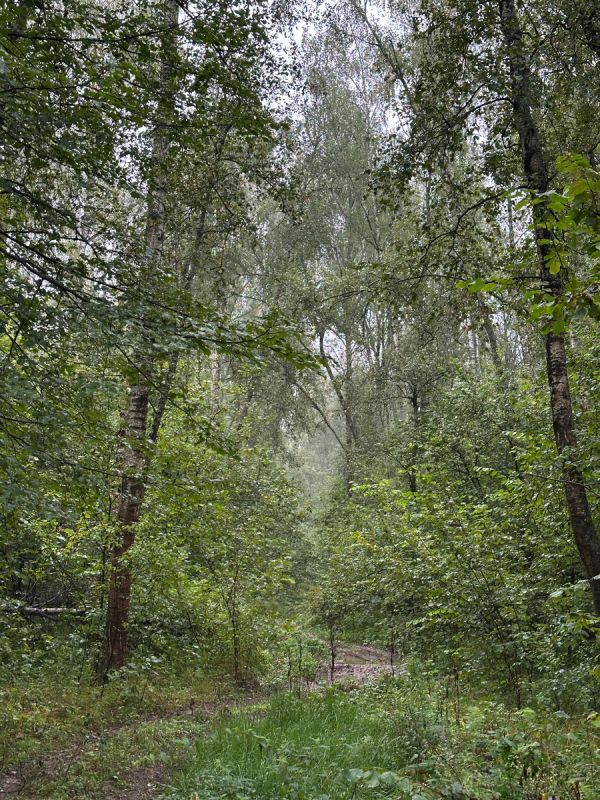 ������� ����������: ����������� �������� ������ �����