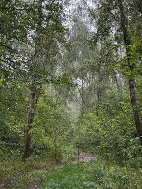 ������� ����������: ����������� �������� ������ �����