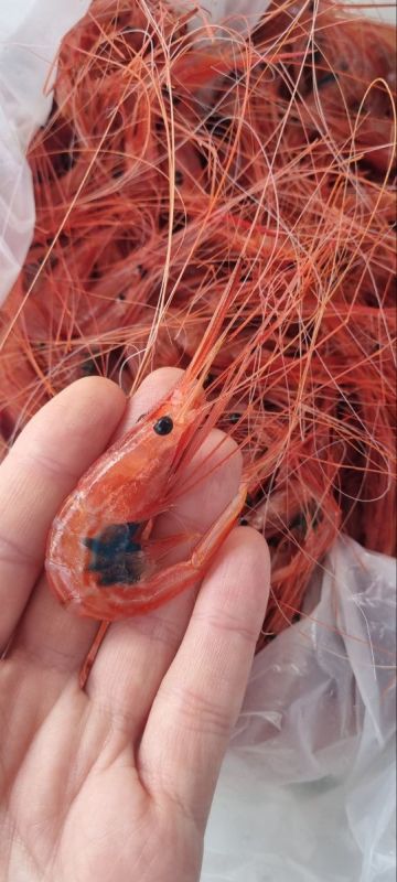 ��� ��������� �������� ������ ���������: ������� ��� ������ ���