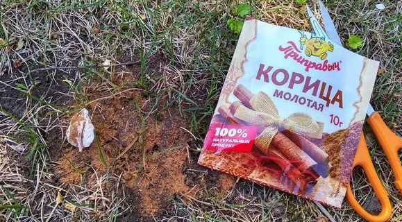 ������ � �������: ������� ����������, ������� ������� �������