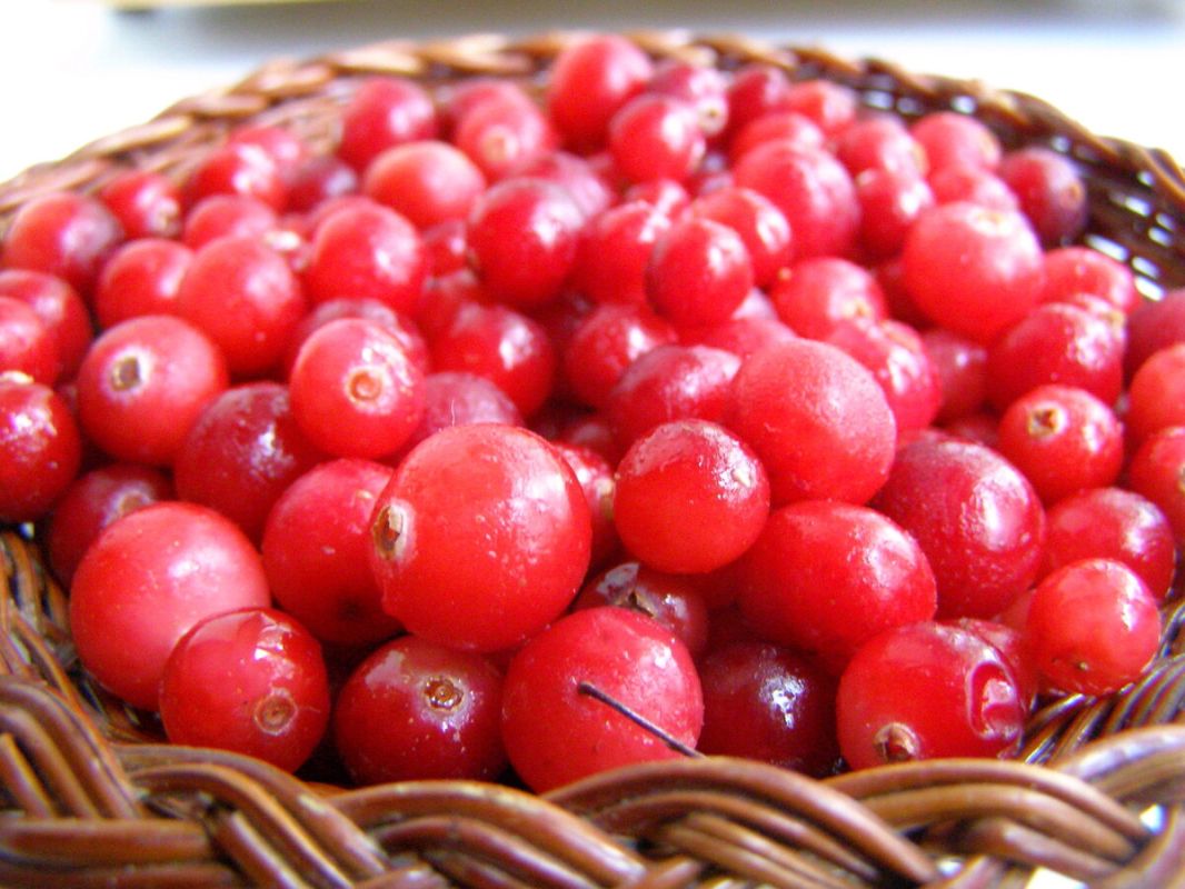 ��� ������ ����������� ������� ���� �� 5 �����