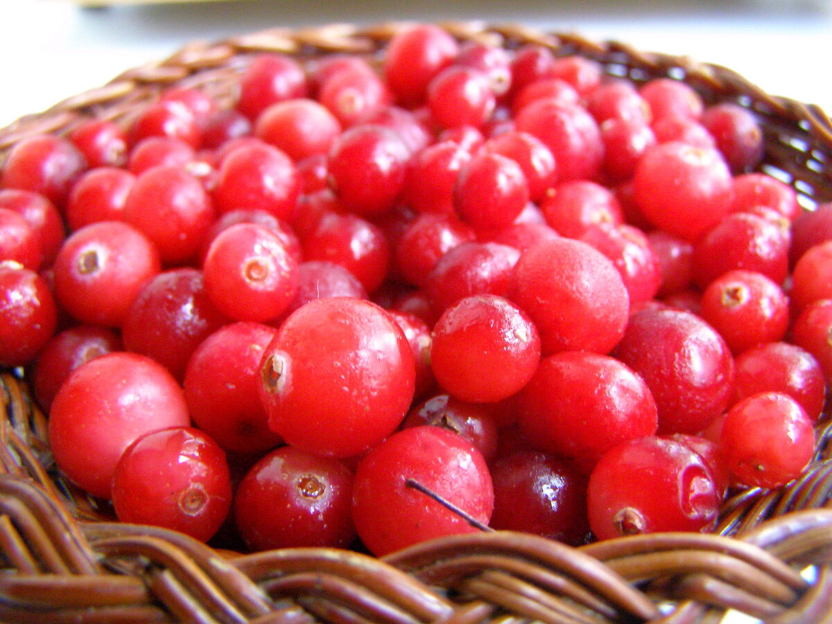 Как быстро приготовить ягодный морс за 5 минут