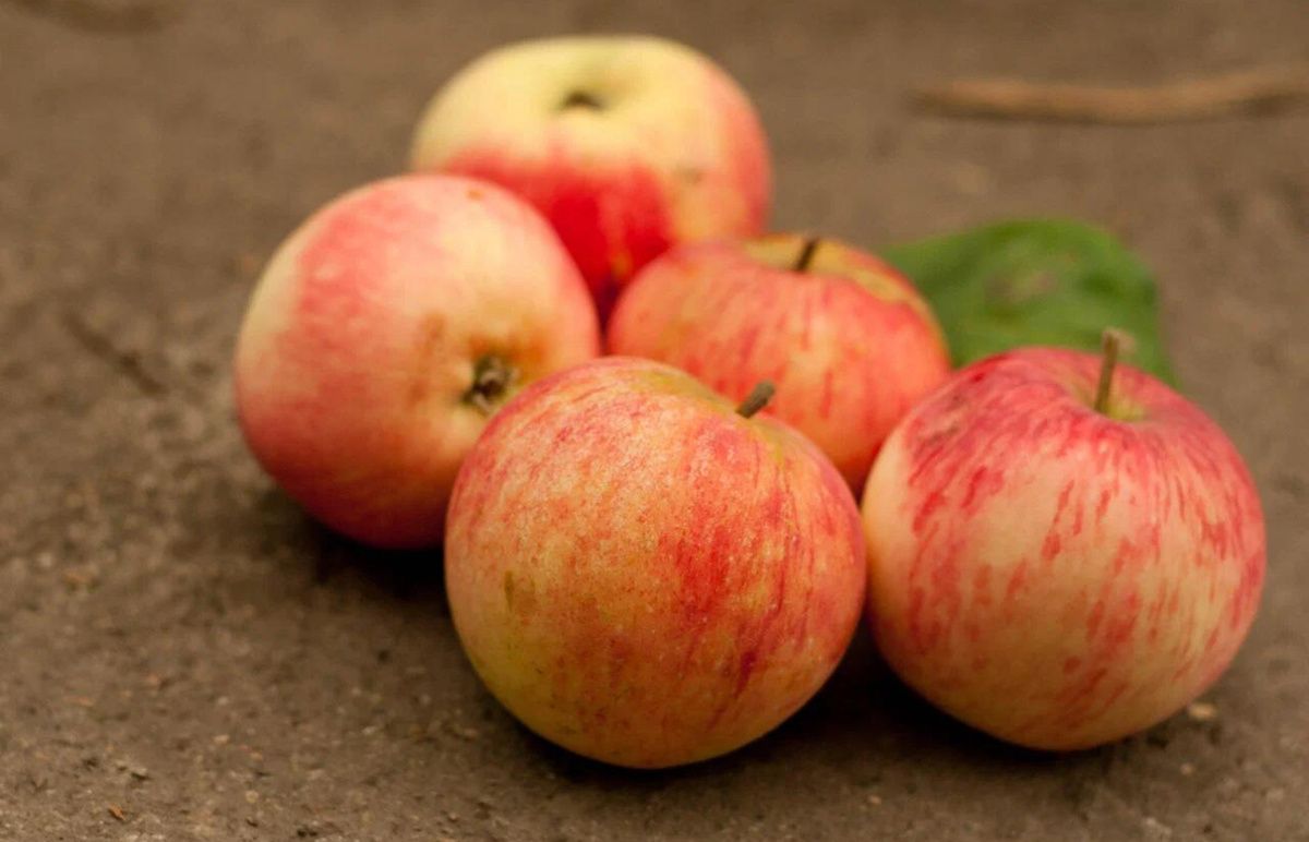 ����� � ������� ��� ������: ��� ��� ����������?