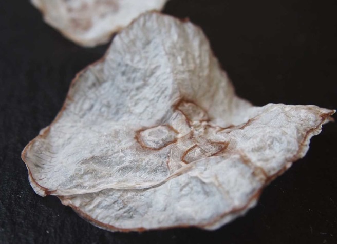 Необычные чипсы со всего мира: от медуз до кузнечиков