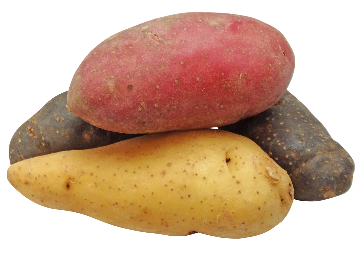 Как выбрать идеальный картофель: советы и особенности