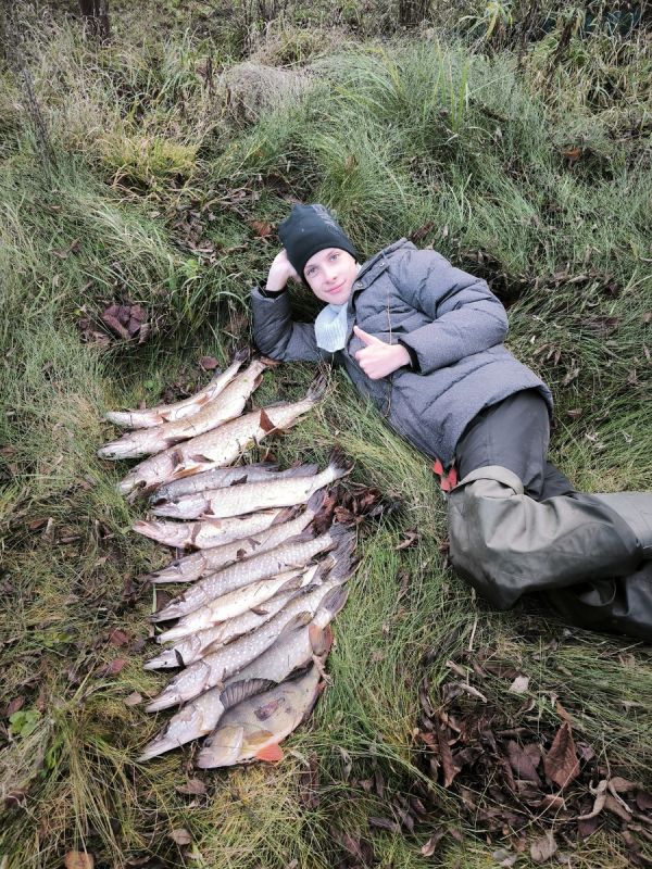 ��� ����� �� ������� ���� ��������� ���������