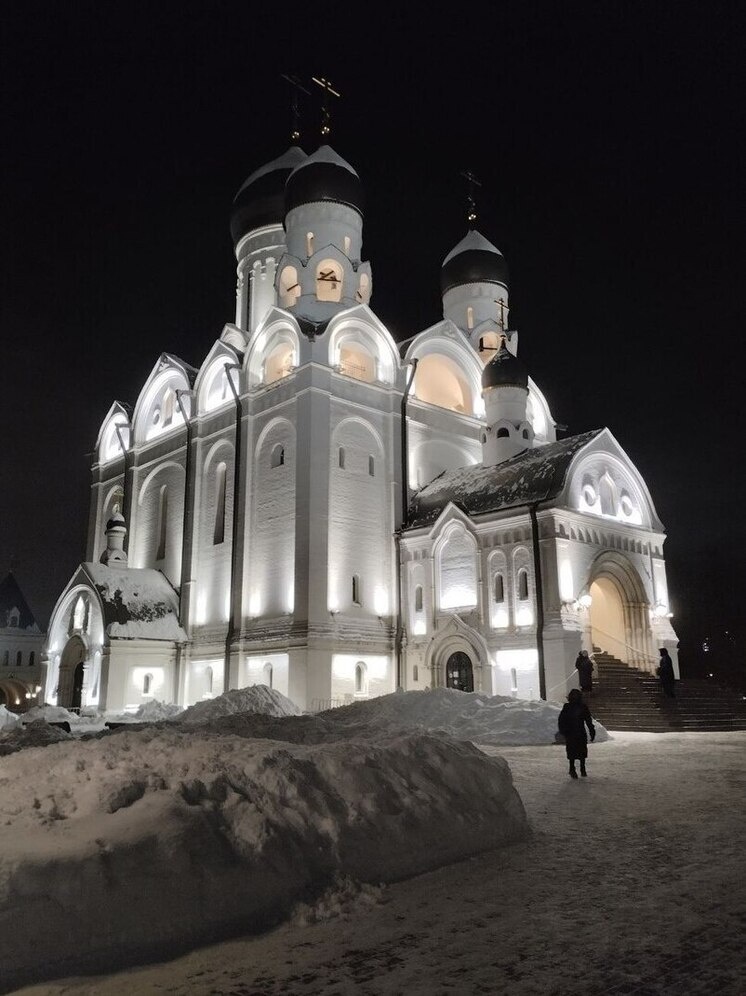 Что представляет собой Сыропуст