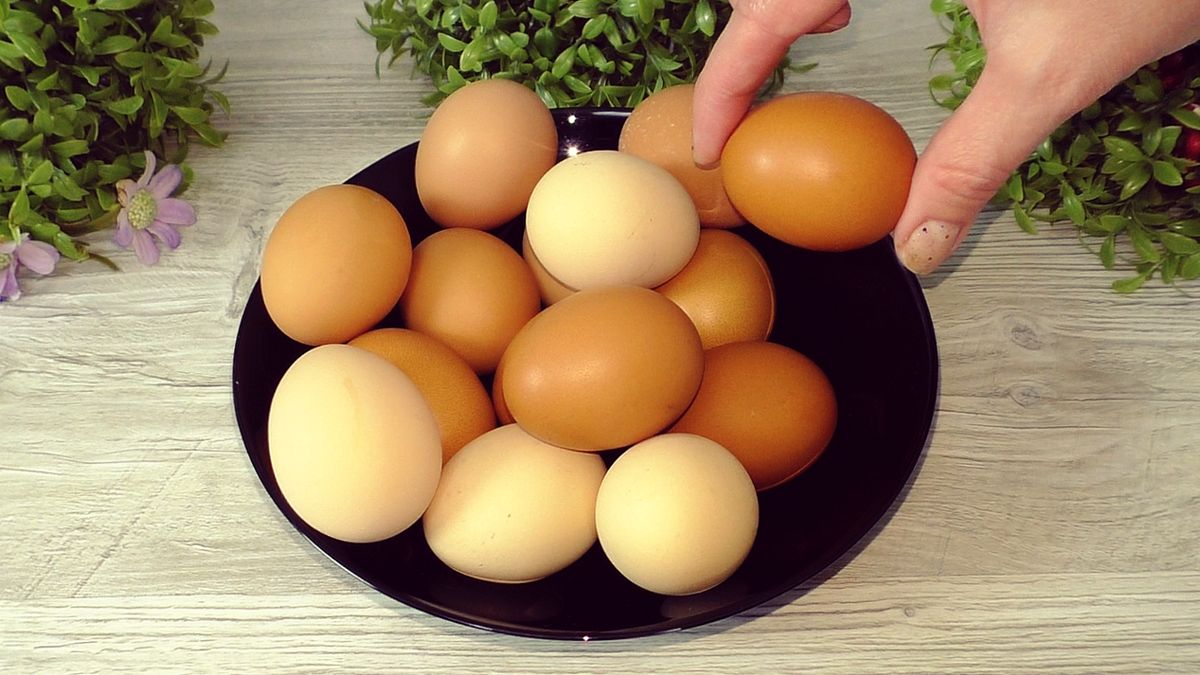 ����� ��� � ����� ����: ������ ������� �� Wildberries � �������������� �������