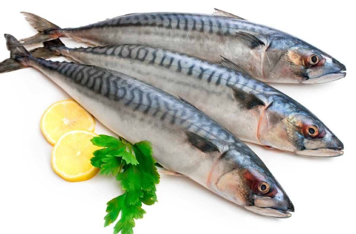 �������� �� ������ ����: ��� ������� � ������� �������