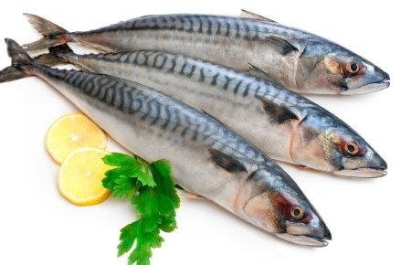 Скумбрия на каждый день: два простых и вкусных рецепта