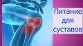 Здоровье суставов: как поддержать их с помощью питания и движений