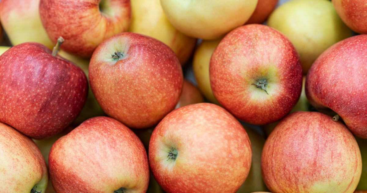 � ������ ������ ����������� ����� ��������� ��� �������