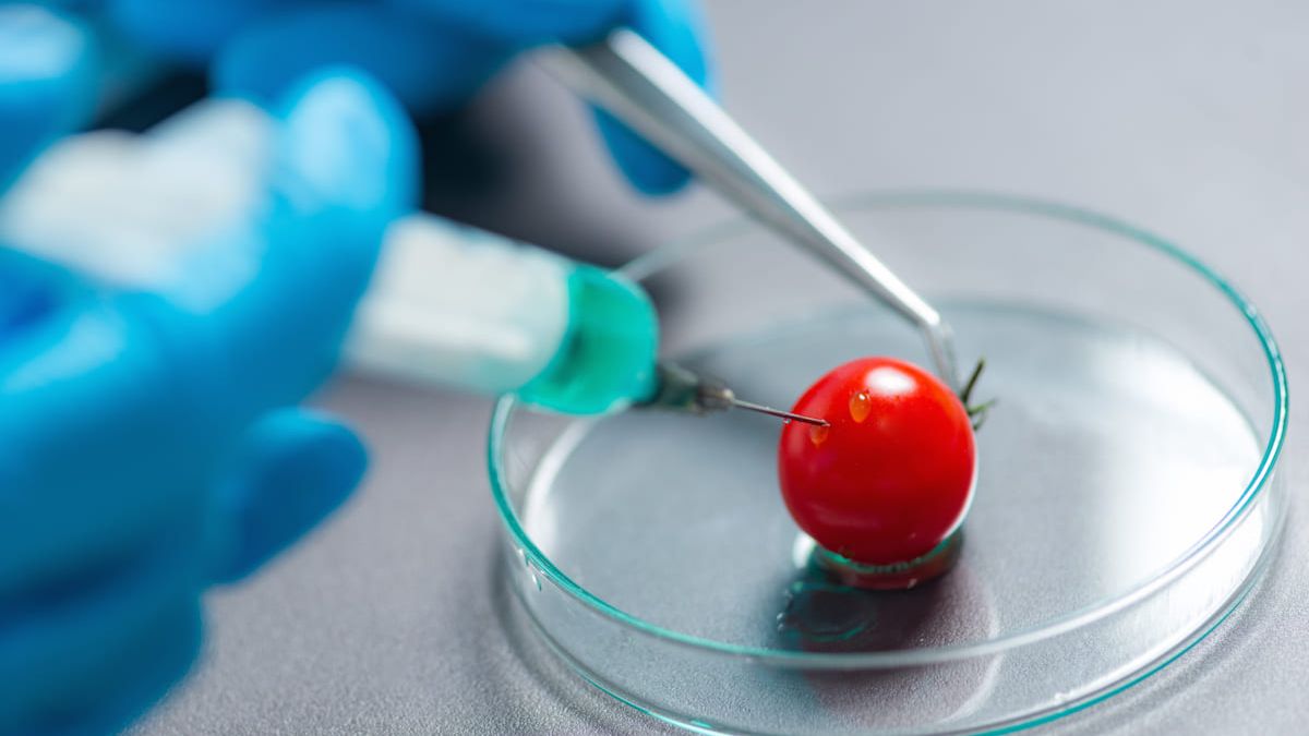 ����������� ���������������� ��������: ������������ ����� � �������� �����